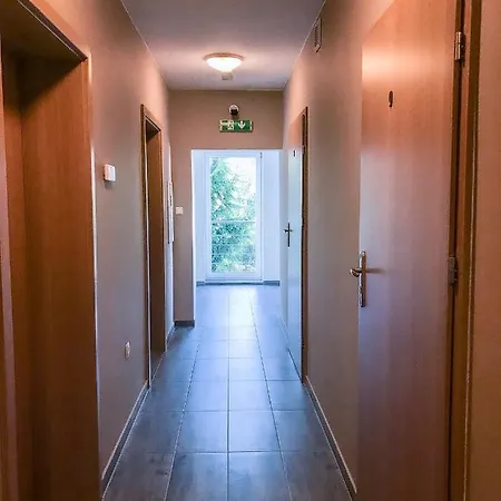 Lawendowy Wrocław
